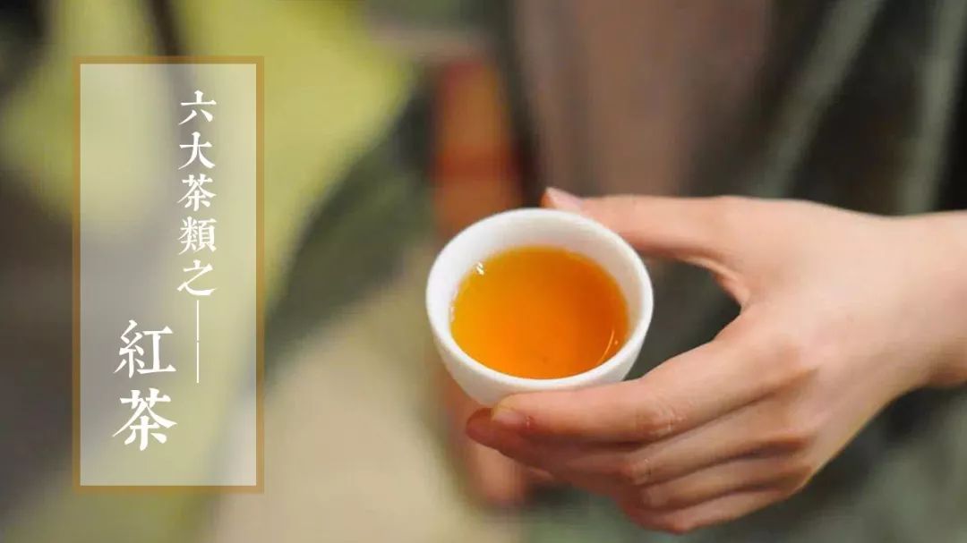 徐亚和解说红茶|“蜜香带锐”的红茶就是好红茶