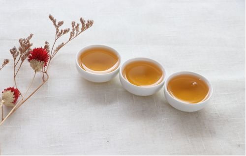 红茶研究院丨鲜叶篇：蛋白质和氨基酸