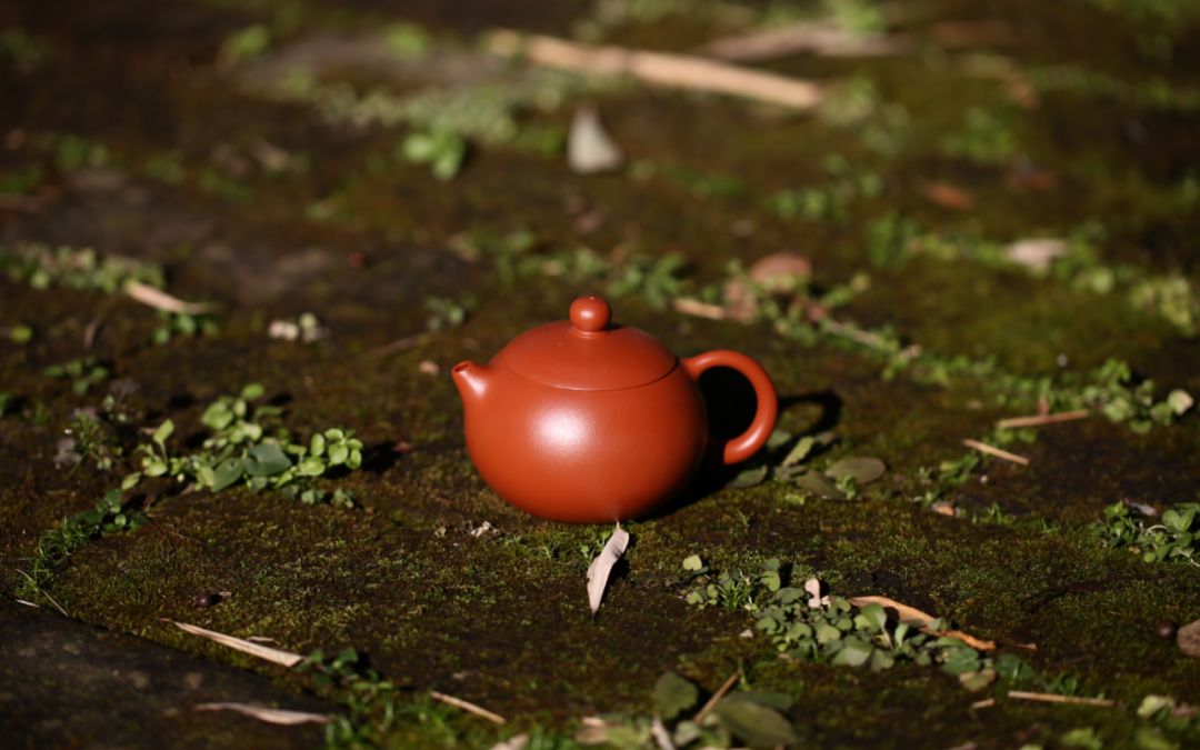红茶用什么紫砂壶泡会更好喝？