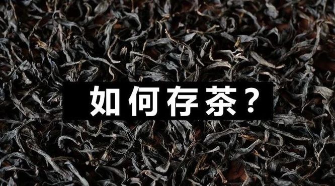 茶识│乌龙茶、红茶应该如何合理储存？