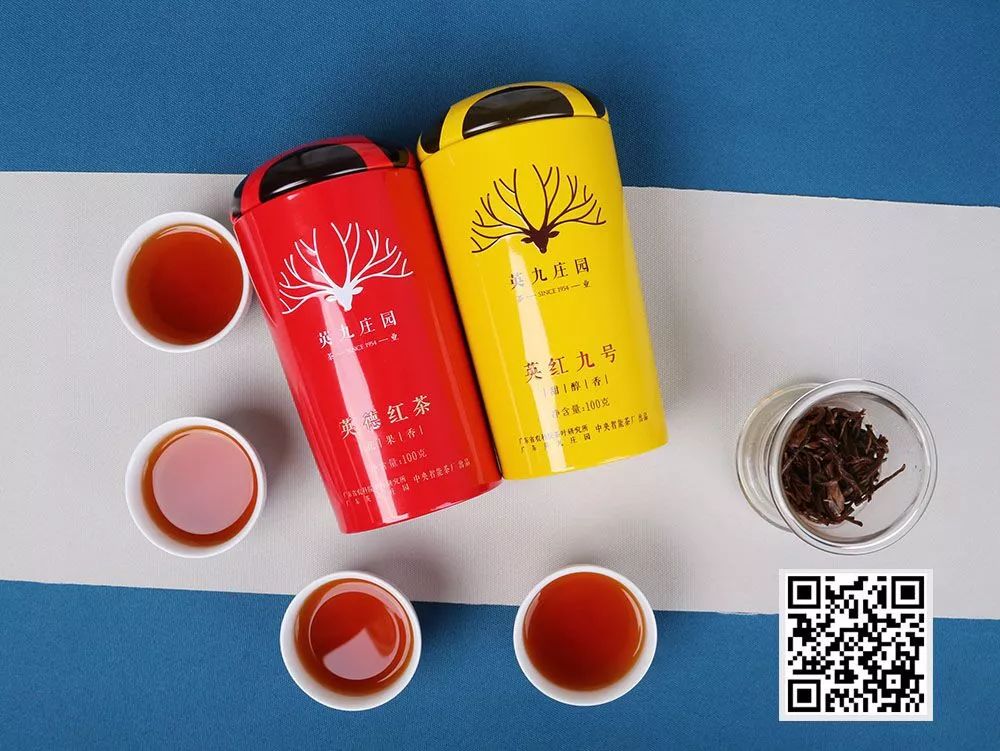 茶叶包装上的产品标签，你真的读懂了吗？