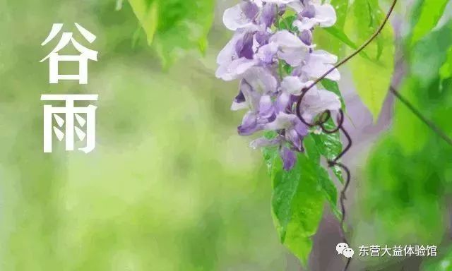草木知春不久归，百般红紫斗芳菲-春季最佳饮茶清单