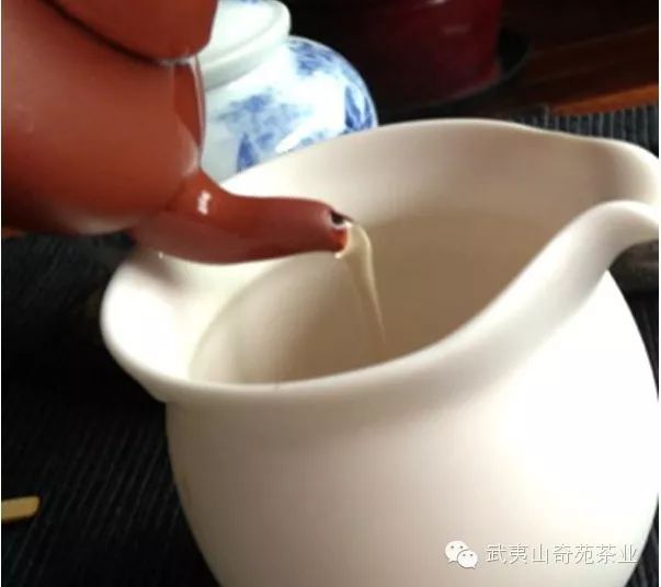 初学泡茶流程（紫砂壶泡法）