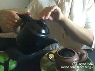 每日益茶～大益茶冲泡技艺
