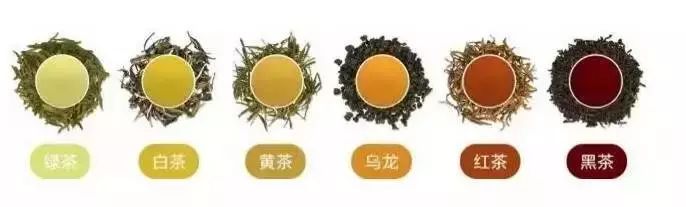 最全的中国茶知识，建议收藏！