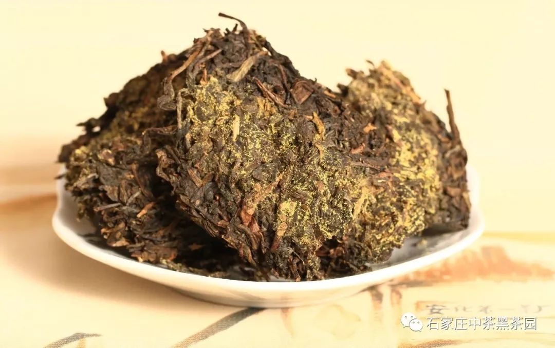 关于茶文化：茯砖茶里的“金花”能给茶带来什么改变？