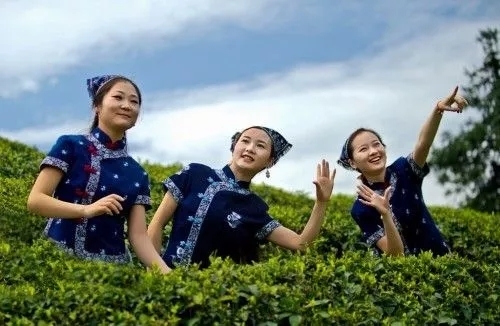 中国茶文化之一茶歌