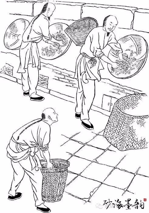 岩茶传统制作简笔图