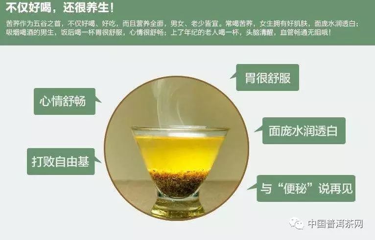 知识丨苦荞茶是一种什么样的茶？