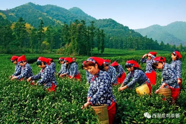 龙坞茶镇成功创建国家4A级旅游景区