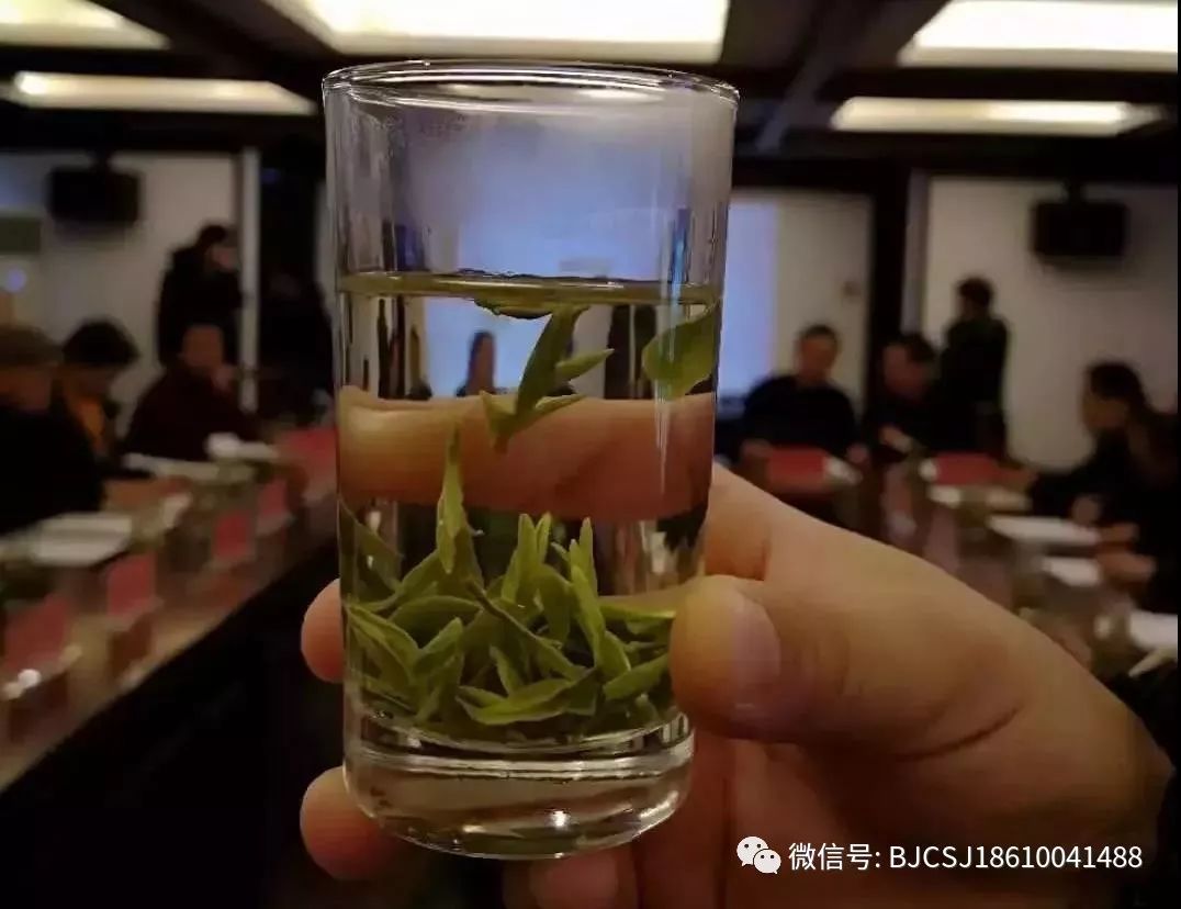【茶界关注】2019年最早的新茶已上市，在海南？不，贵州！