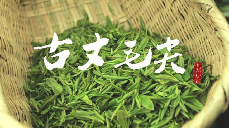 小茶叶有“大作为”：“茶e有道”茶产业扶贫采购活动地区介绍-湖南古丈