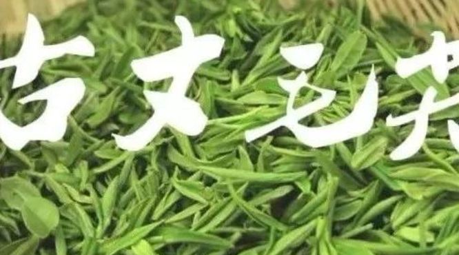 “茶e有道”茶产业扶贫采购活动地区介绍-湖南古丈