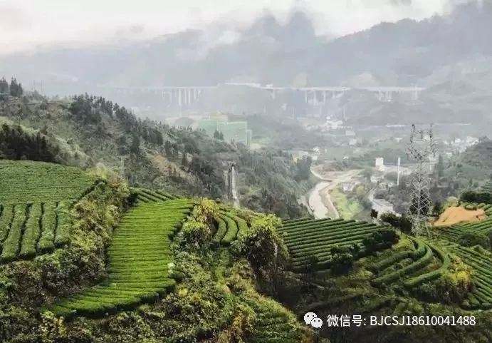 “茶e有道”茶产业扶贫采购活动地区介绍-湖南古丈