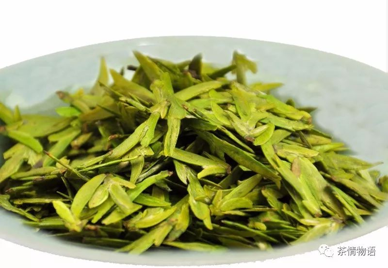 2019“中国早春第一茶”——开采了！