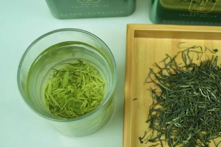 名山出名茶——万龙松针