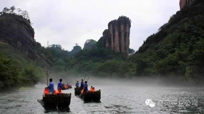 中国十个值得茶人去的美丽茶山
