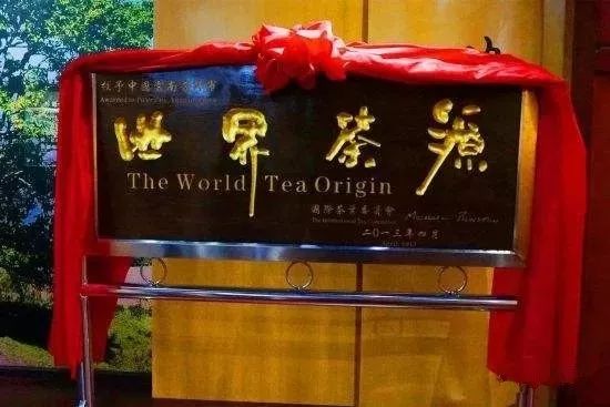 中国茶叶概略