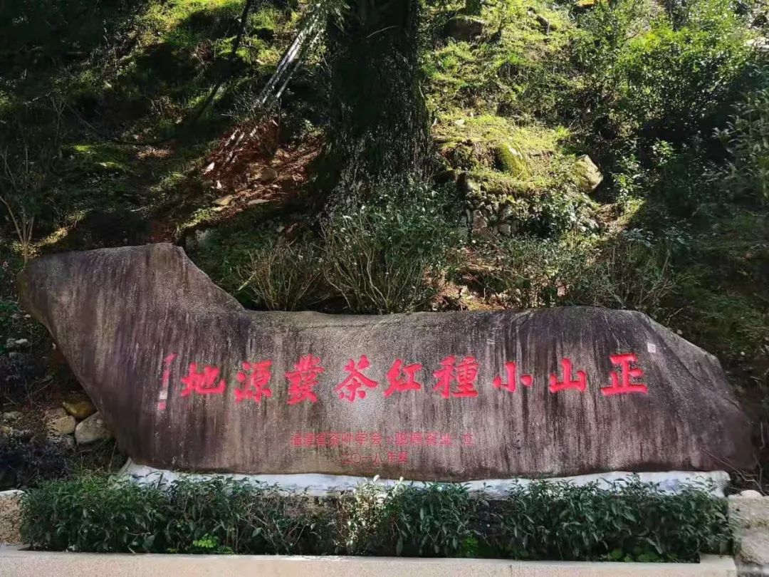 武夷山：中国的万里茶路起点