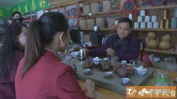 梧州六堡镇：山水为媒育好茶产业奏响致富歌