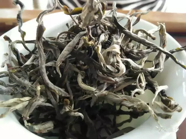 云南25个山头古树茶的基本特性及口感！（太全了）