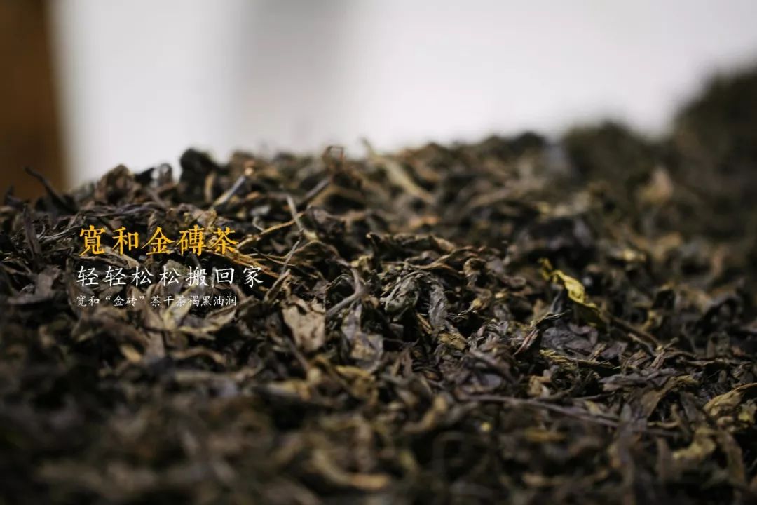 茶界“金砖”藏茶，给你不一样的体验