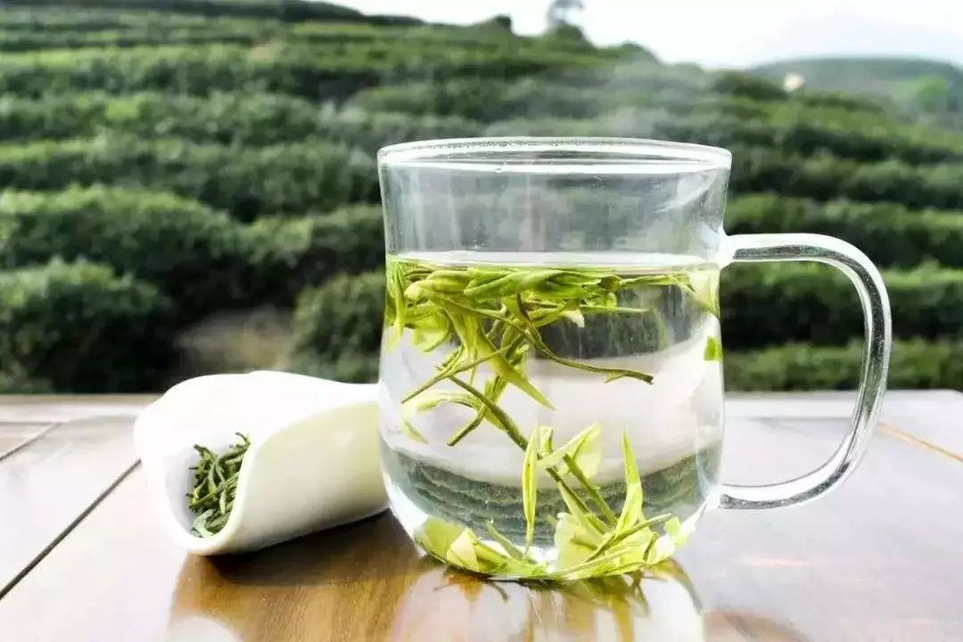 湿气重的人应该喝什么茶？