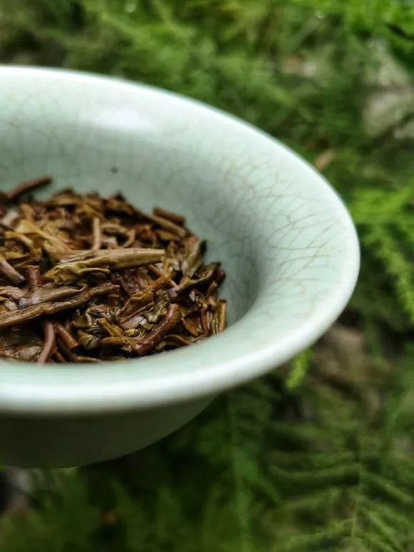云南勐海生态竹筒茶喝起来怎么样？6位专业茶友的原创开汤别错过！
