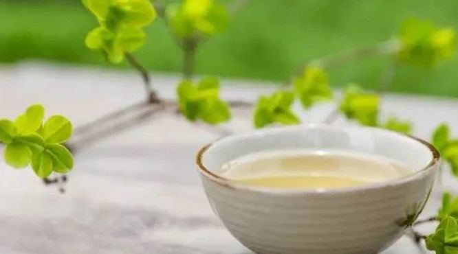 春天适合喝茶养生，到底喝什么茶才好呢？