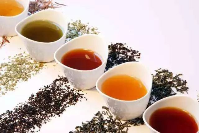 懂茶之四性，不怕茶喝错