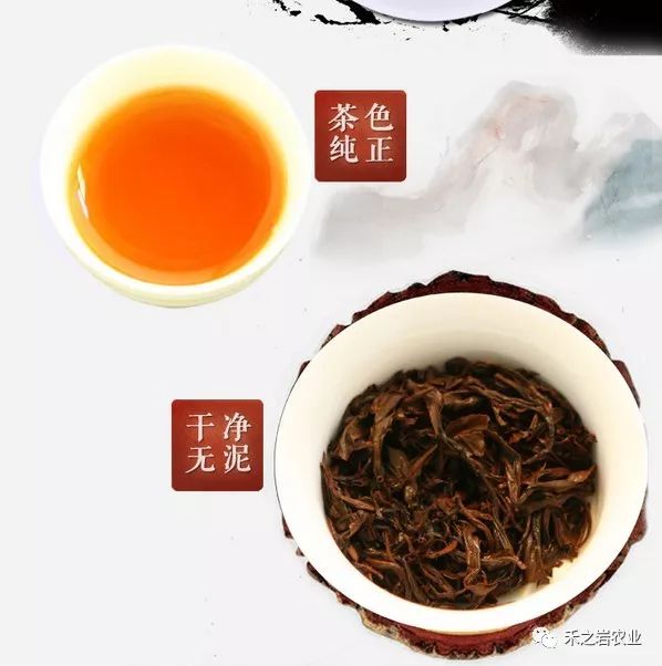 【分享】秋冬季节喝什么茶？看完你就知道了！