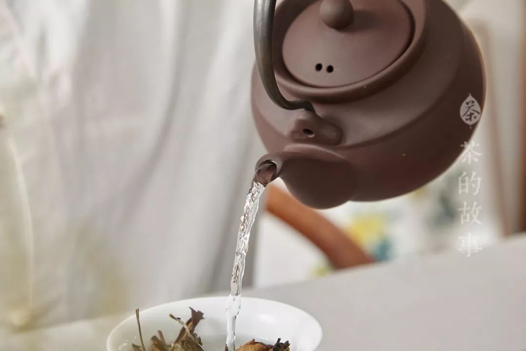水为茶之父，如何靠水将普通的茶泡出惊艳感？