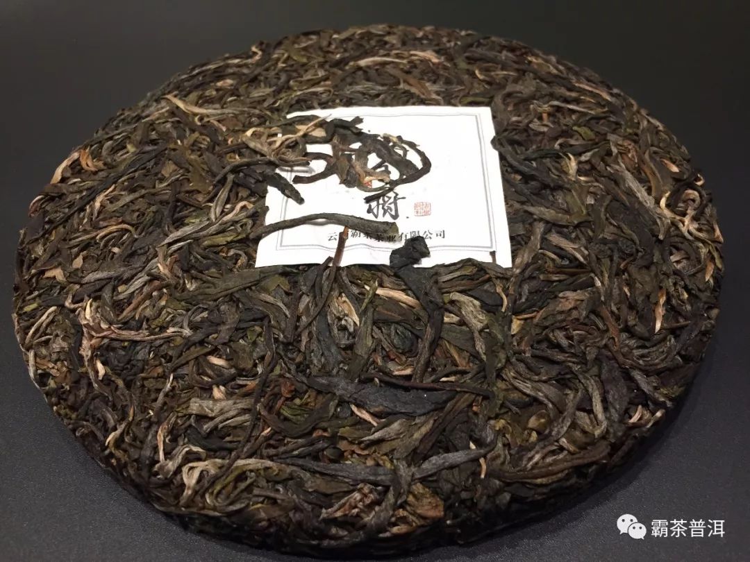 茶王树—王韵天成，传世好茶！
