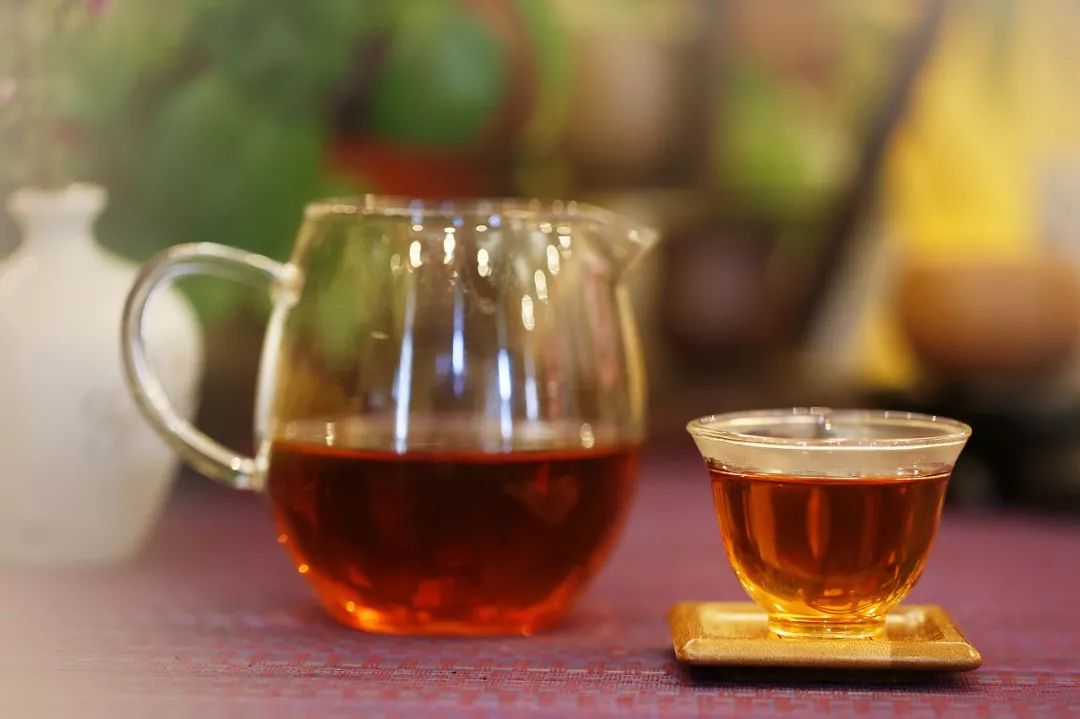 民族茶，世界品——五十六个民族，同饮一杯好茶！