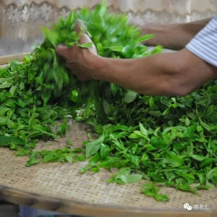 上亿人想知道，一斤茶叶多少钱才算性价比高！