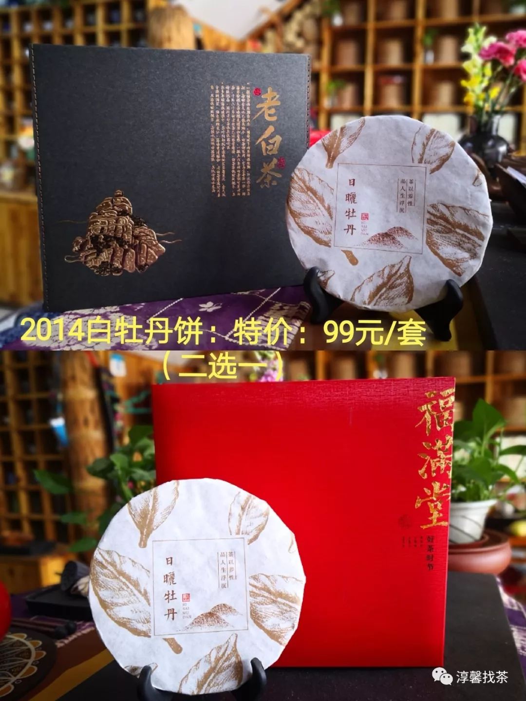 2019喜迎金猪！春节·店主抽风特惠回馈！！！