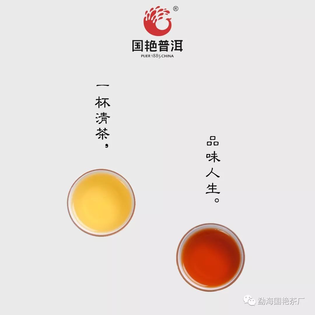 中国风——新春茶礼