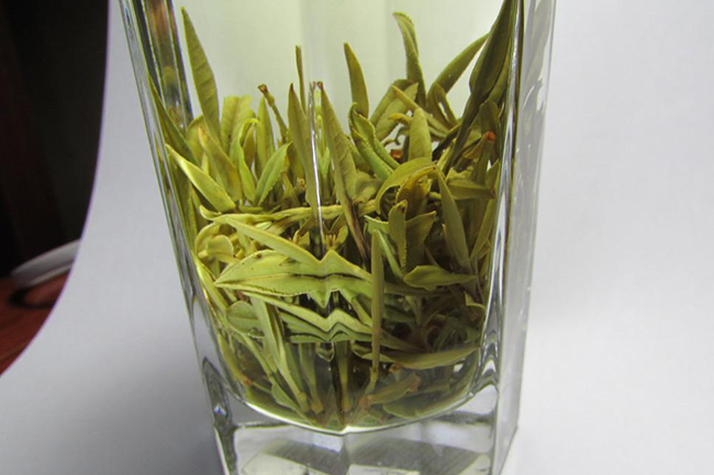 霍山黄芽是什么茶？通过哪些方面辨识好坏？