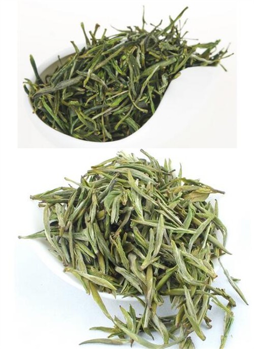 简述霍山黄芽茶叶的历史文化