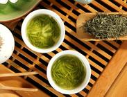 日照绿茶是什么？
