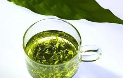 日照绿茶选购辨别优劣、冲泡方法？日照绿茶治疗咽喉炎？