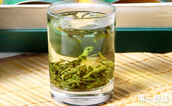 日照绿茶好喝吗？日照绿茶该怎么泡呢？
