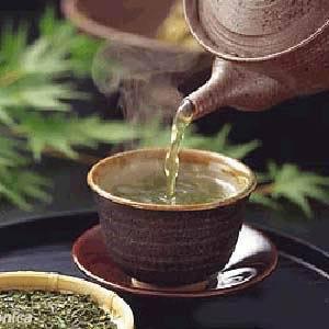 为什么日照绿茶会成为山东省的名茶？