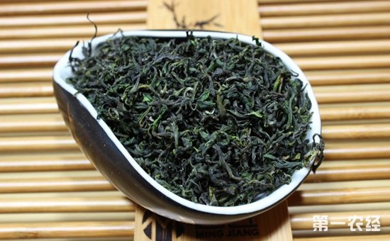 日照绿茶的功效与禁忌喝日照绿茶有什么好处呢？