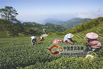 台湾乌龙茶的渊源与武夷岩茶