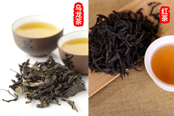 大红袍是红茶还是绿茶应该怎么区分
