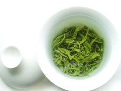 信阳毛尖白露茶属于哪种茶呢？