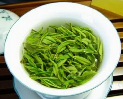 信阳毛尖——属于绿茶