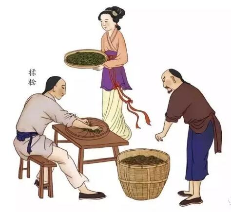 祁门红茶传统手工制作流程图