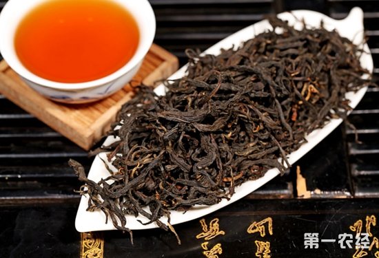滇红茶怎么喝？不同品种的滇红茶冲泡对比